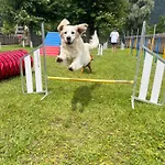 Schluga * 헤르마고